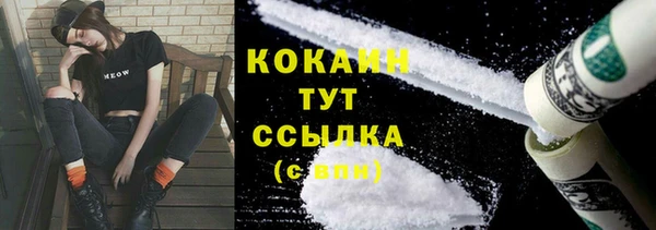 молекула духа Горняк