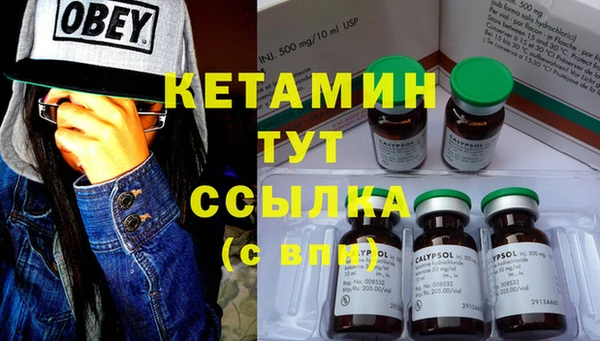 сатива Абаза