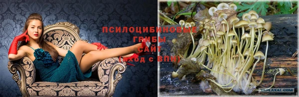 apvp Абинск