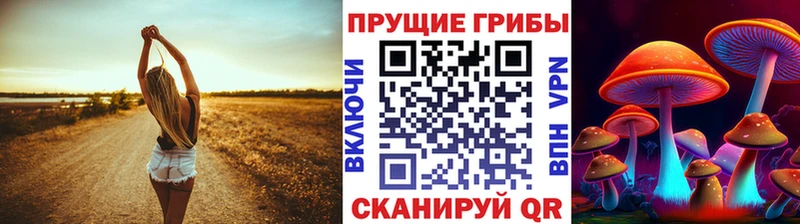 наркотики Кизилюрт Псилоцибиновые грибы ЛСД